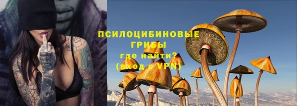 не бодяженный Бородино