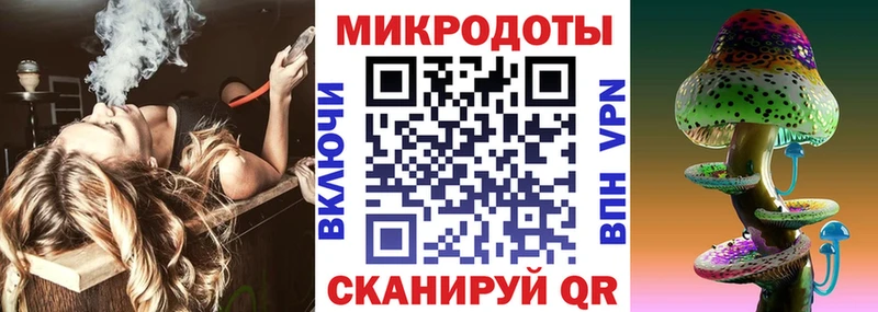 Купить Фокино Псилоцибиновые грибы Psilocybe